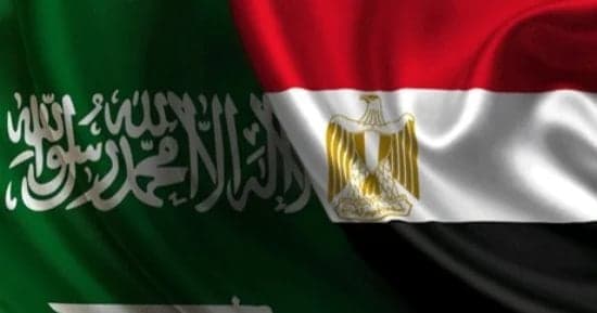 النائب الجندي: مصر تؤكد دعم السعودية