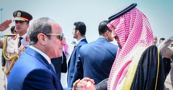 Deputy Affirms Saudi-Egyptian Unity on Regional Crises