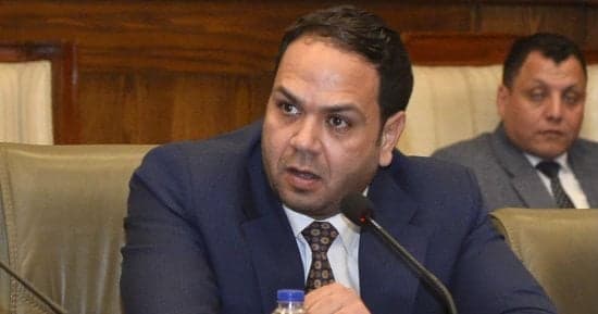 مصر تعتمد الحلول السياسية في أزمات المنطقة