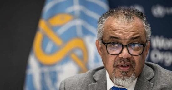 WHO warns of future pandemic risks