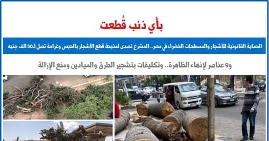 الحماية القانونية للأشجار والمسطحات