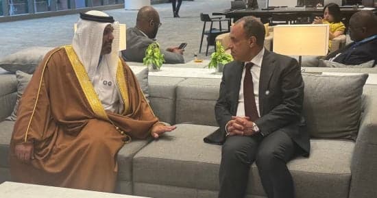FM assesses Egypt's economic reform