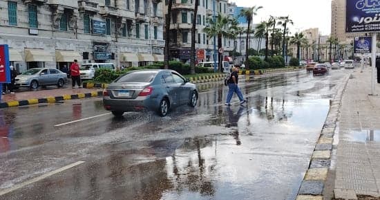 Persistent Heavy Rains Affect Alexandria