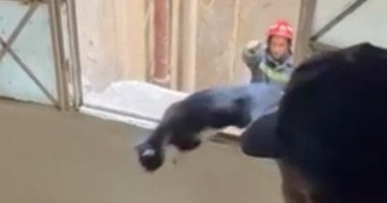 Police save cat trapped in stairs