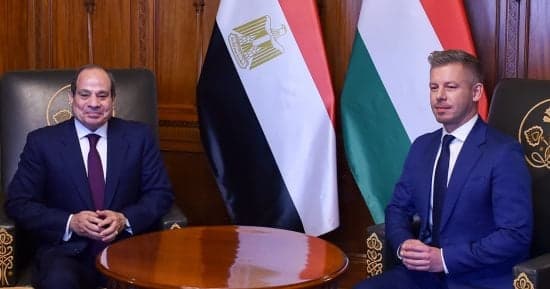 Sisi warns of Gaza exodus