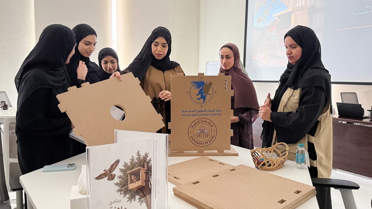 Khalba Falcon Center Starts Safe Sanctuary Program