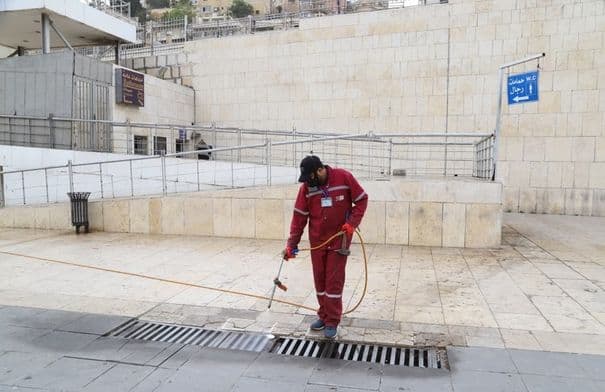 بكتيريا مفيدة في وسلط البلد