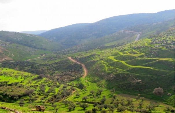 Ajloun Forest Reserve Advisory Meeting