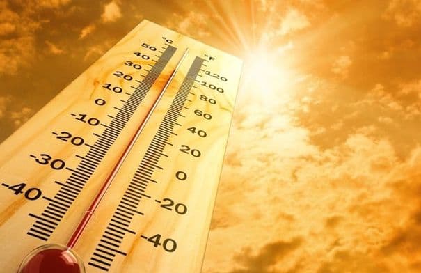 Azraq Agriculture Advises Caution Amid Heatwave