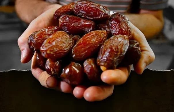 وزير الزراعة يروج لأسواق التمور الأردنية