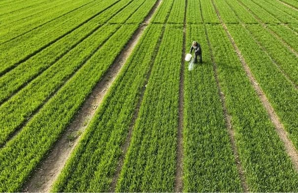 Report warns of possible food crisis in America