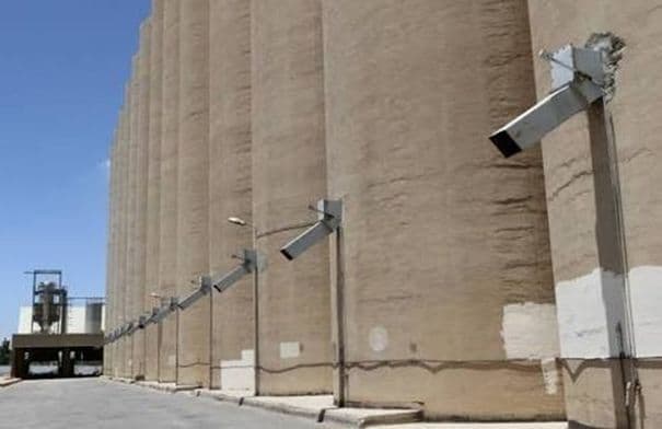 الزراعة تمدد فترة توريد الحبوب
