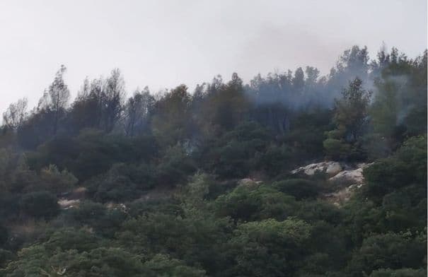 Firefighters contain Jerash wildfire
