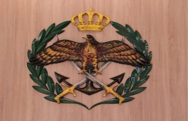 Media Authority bans unofficial armed forces info