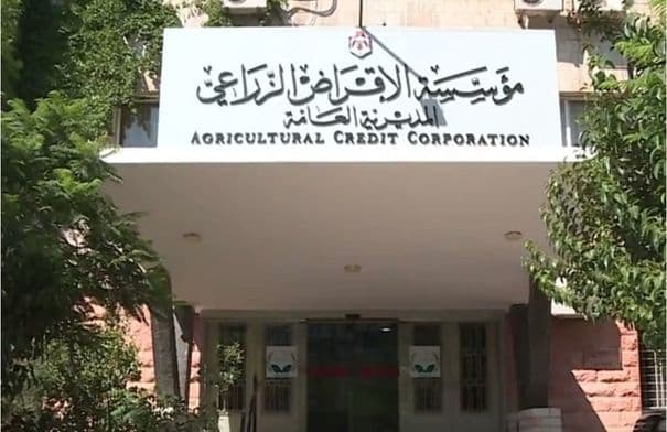 Northern Badia supports 480 farmers with loans