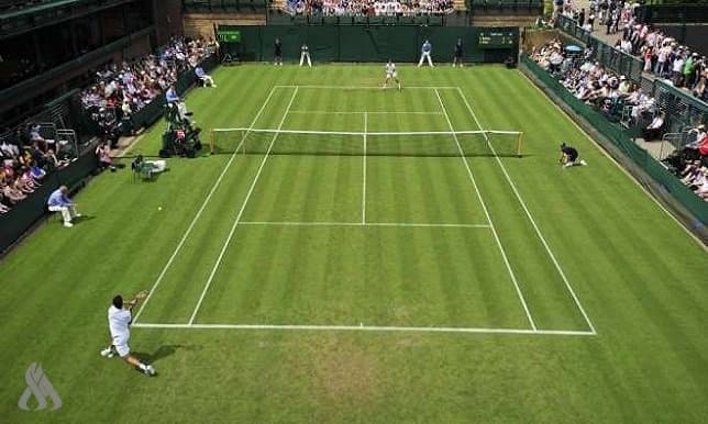 Britain allocates 80 million dollars to protect grass football pitches from climate change impacts