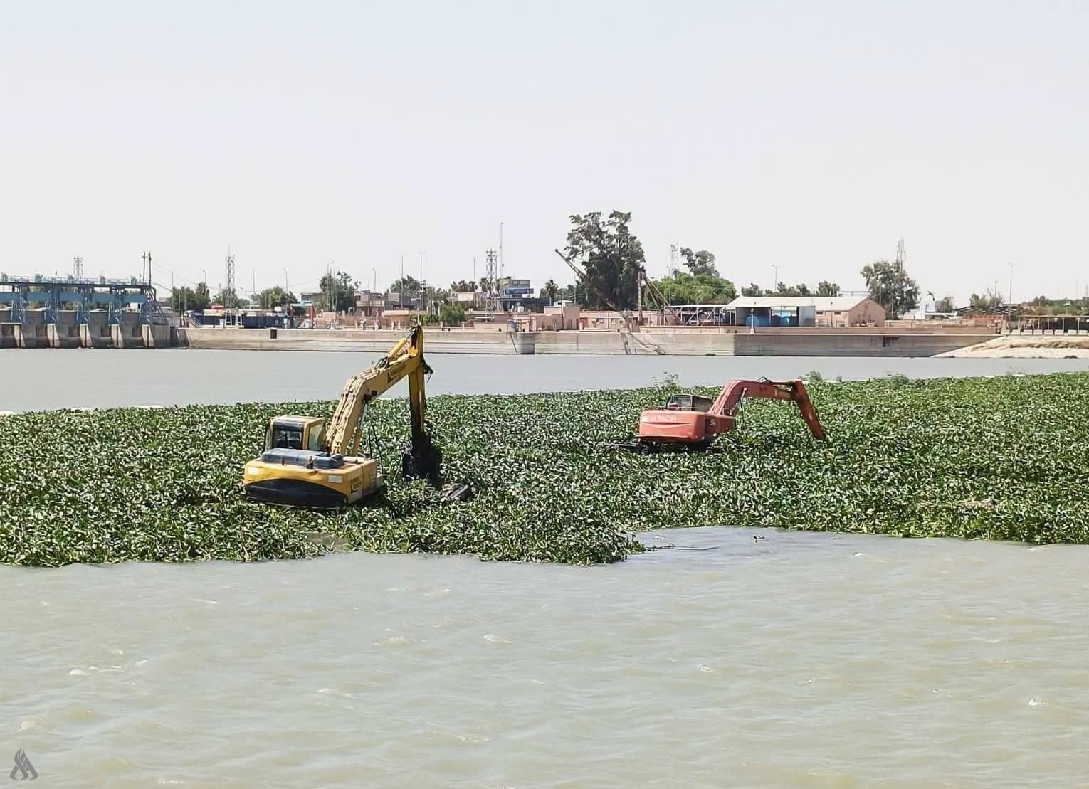 Wasit Province Launches National Campaign to Remove Nile Flower Plant from Kufa Barrage