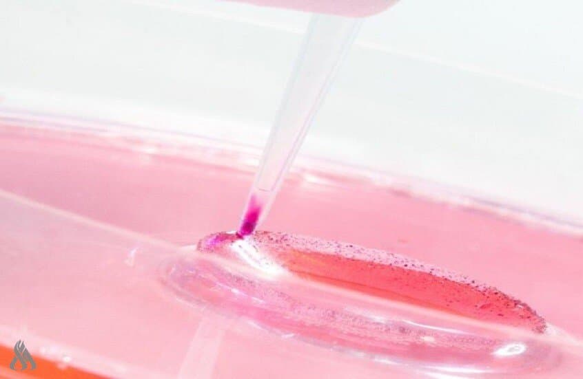 Researchers build new wound healing method