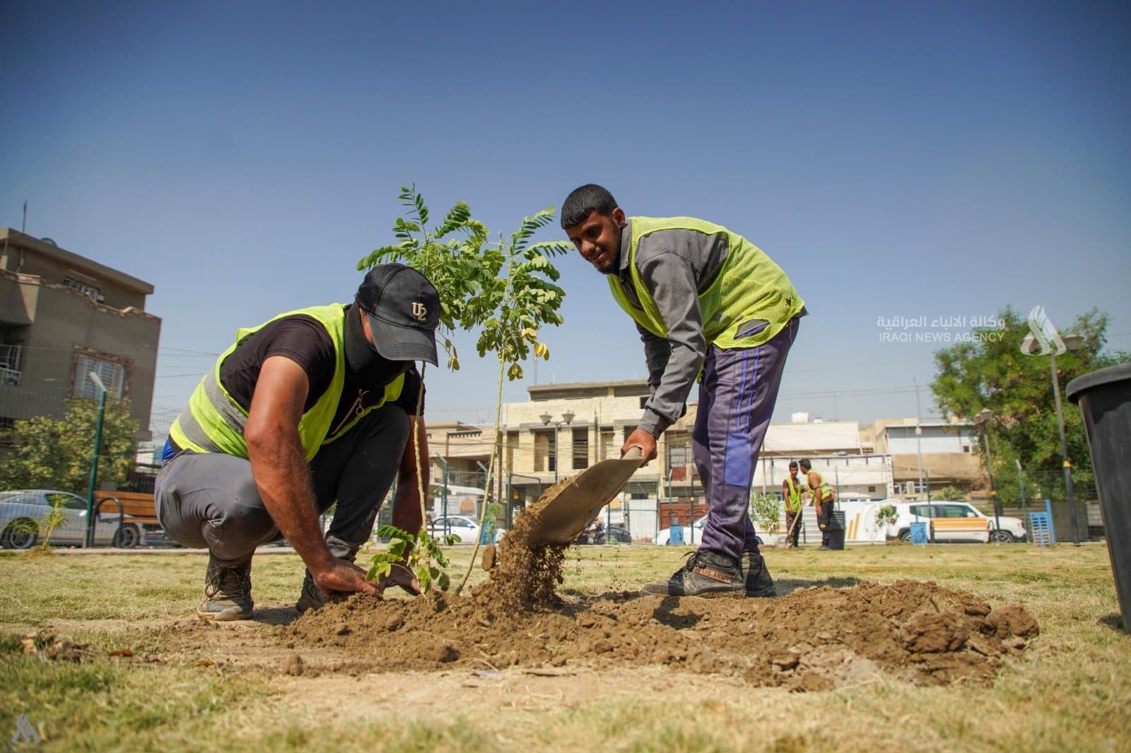 Baghdad to Plant 190,000 Trees Next Month