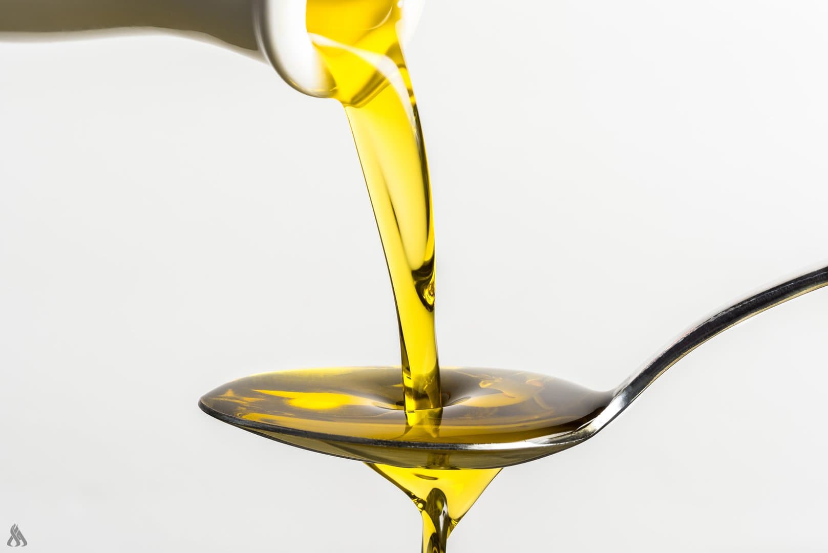 Soybean oil and bladder cancer risks