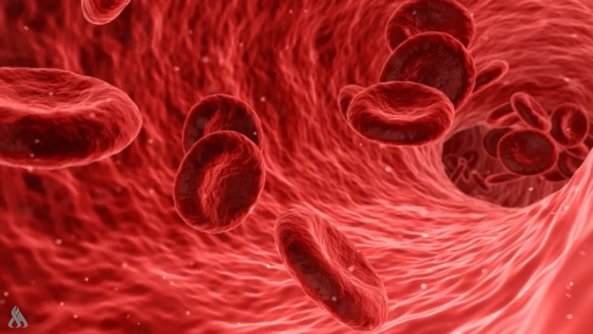Red Blood Cell Adaptation to Low Oxygen
