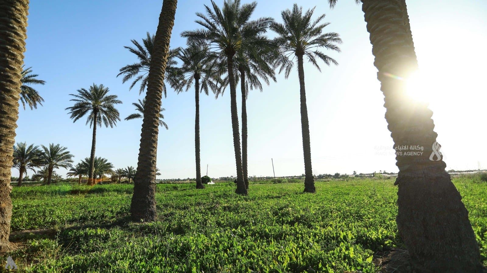 Water reserves aid winter farming in Iraq