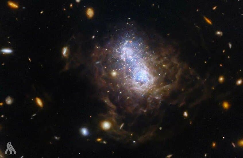 Discovery of metal deficiency in dwarf galaxies