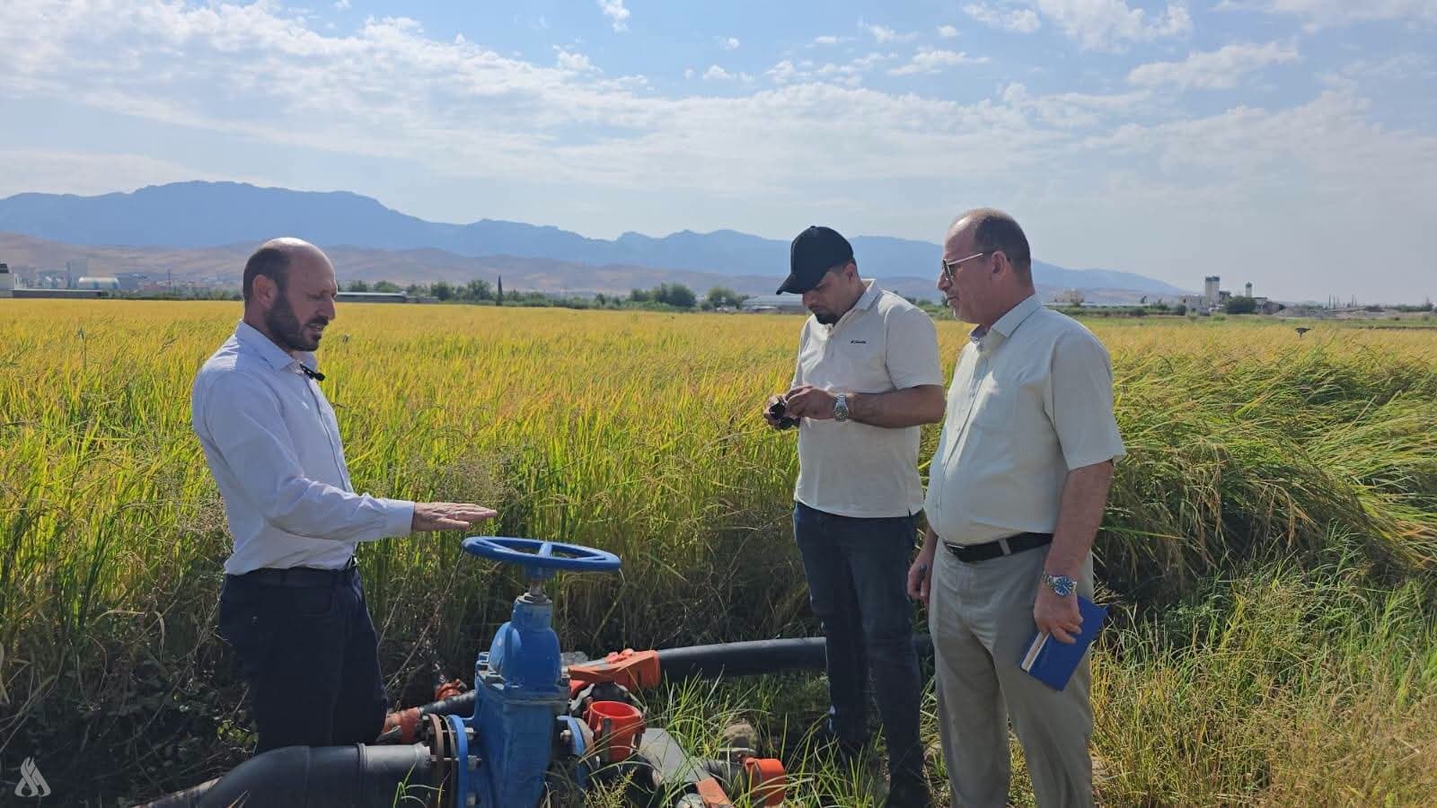 Al-Diwaniyah Reviews Zako’s Barley Cultivation Ideas
