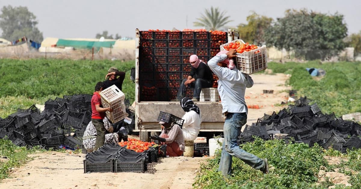 العمل وشريك في بناء الإنسان