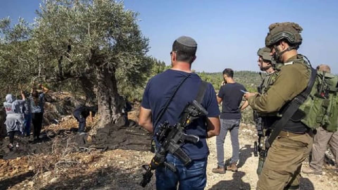 West Bank violence erupts with car fires and attacks on olive harvesters
