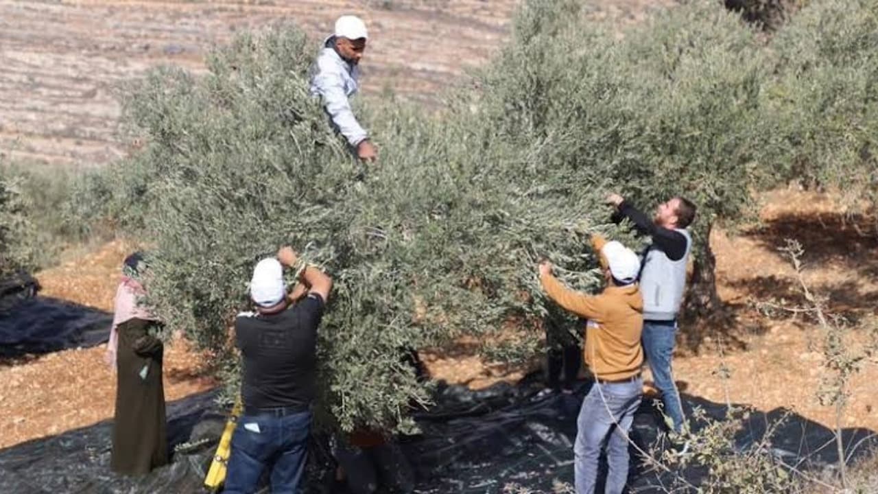 Israeli Forces Detain U.S. Candidate in West Bank