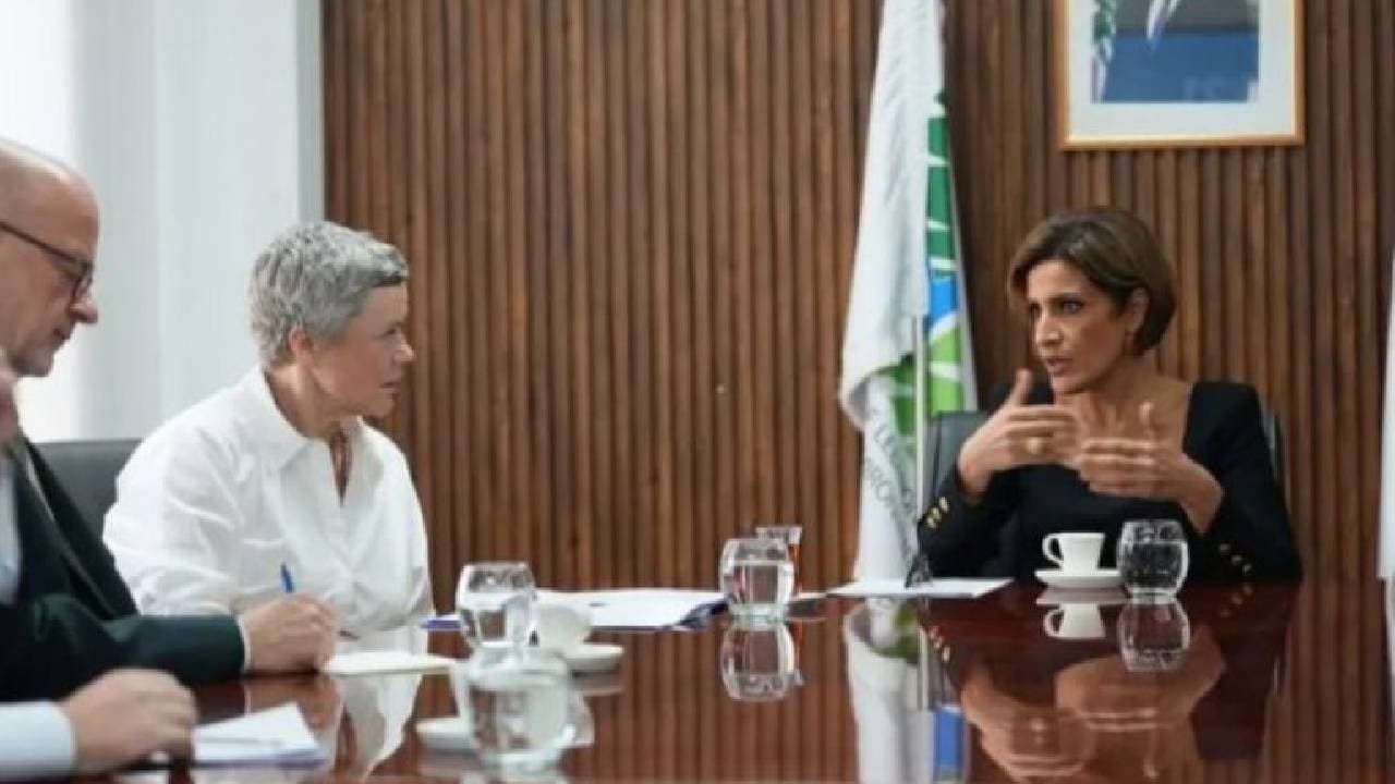 Israeli Conflict's Environmental Impact on Lebanon