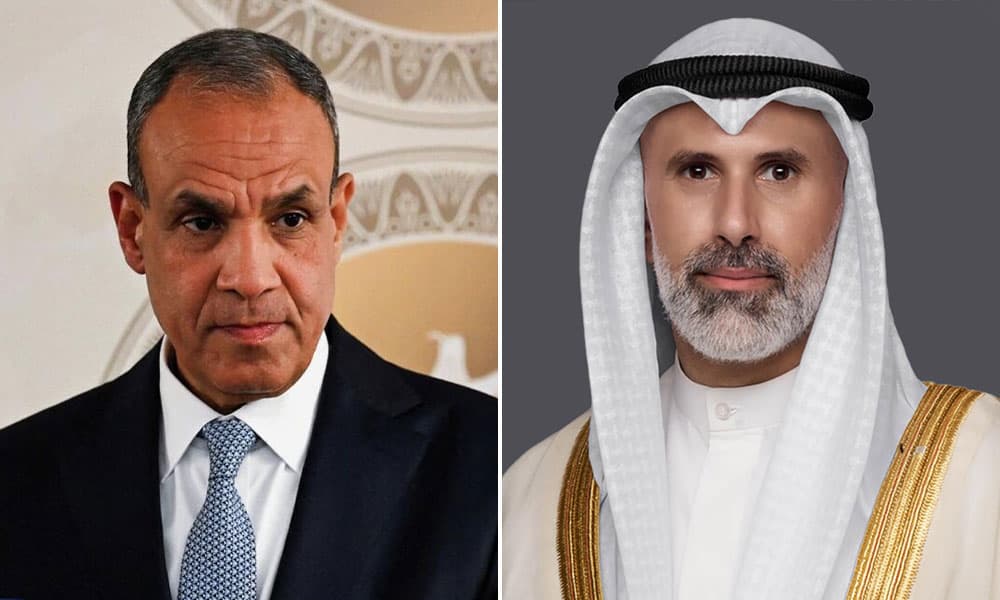 وزير الخارجية يناقش مع نظيره المصري التطورات الإقليمية