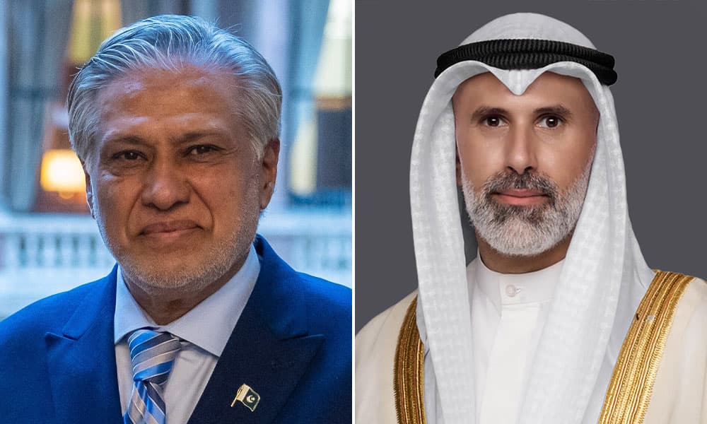 وزير الخارجية يناقش آخر مستجدات المنطقة مع نظيره الباكستاني
