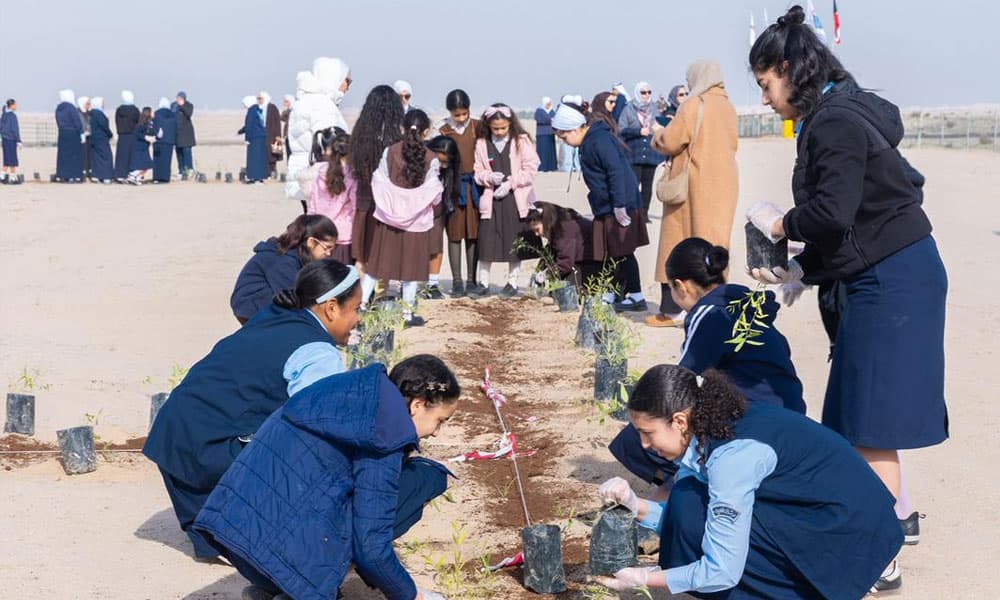 Environment Authority Urges Support for Mangroves Kuwait News