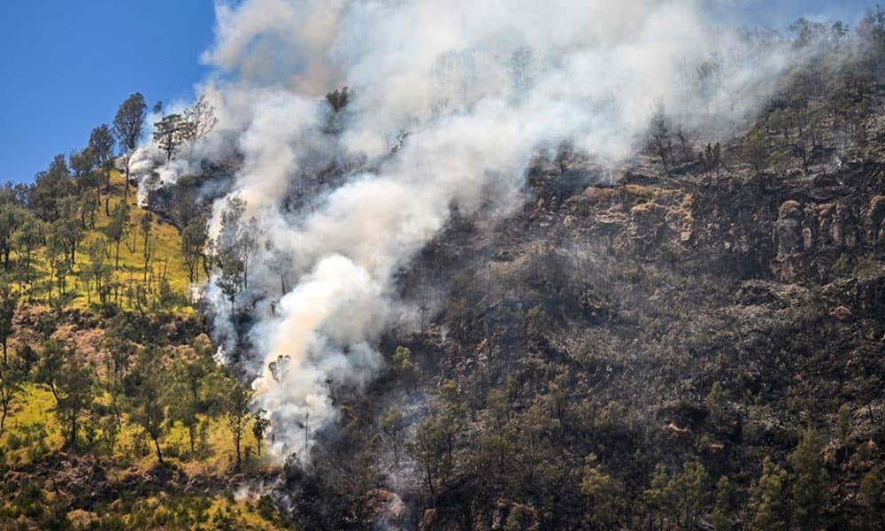 Indonesia battles wildfire in national park