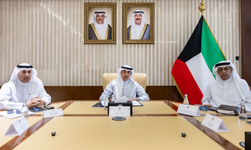 نائب وزير الخارجية يرأس اجتماع مجلس السلكين