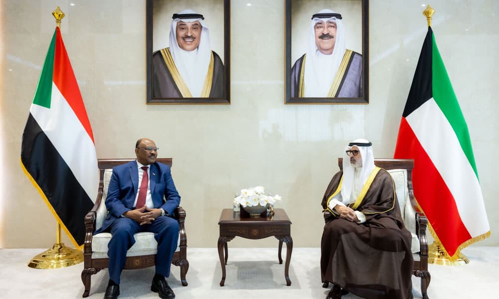 وزير الخارجية يبحث مع نظيره السوداني تعزيز العلاقات