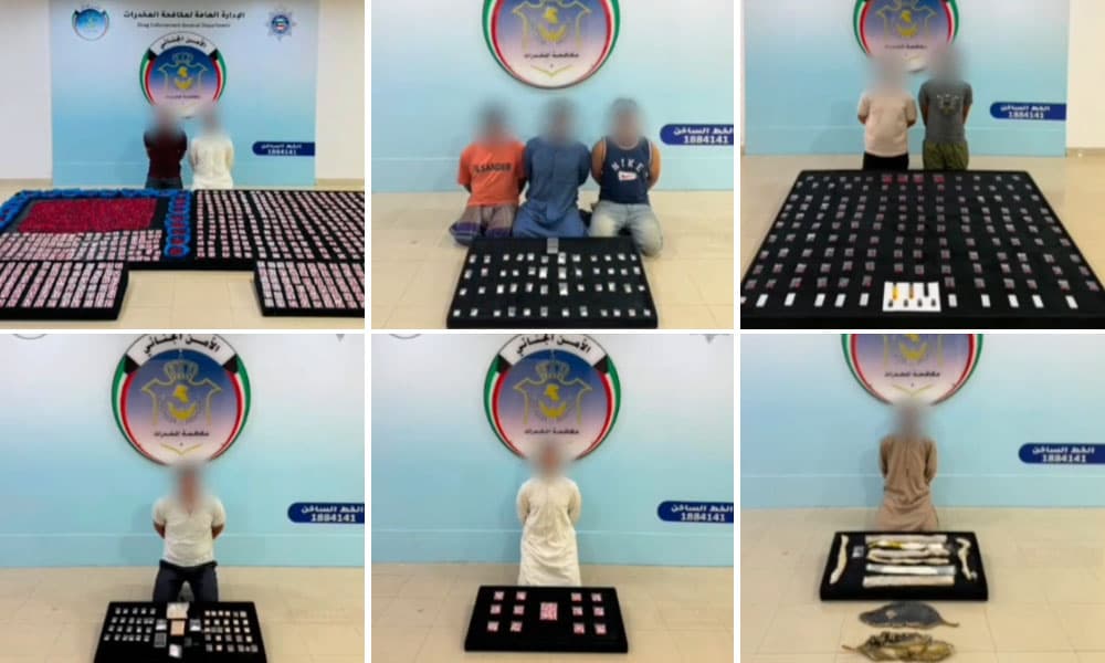 Interior Ministry detains 12 with drugs