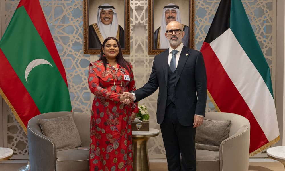 وزير الخارجية يناقش مع نظيرته مستجدات إقليمية
