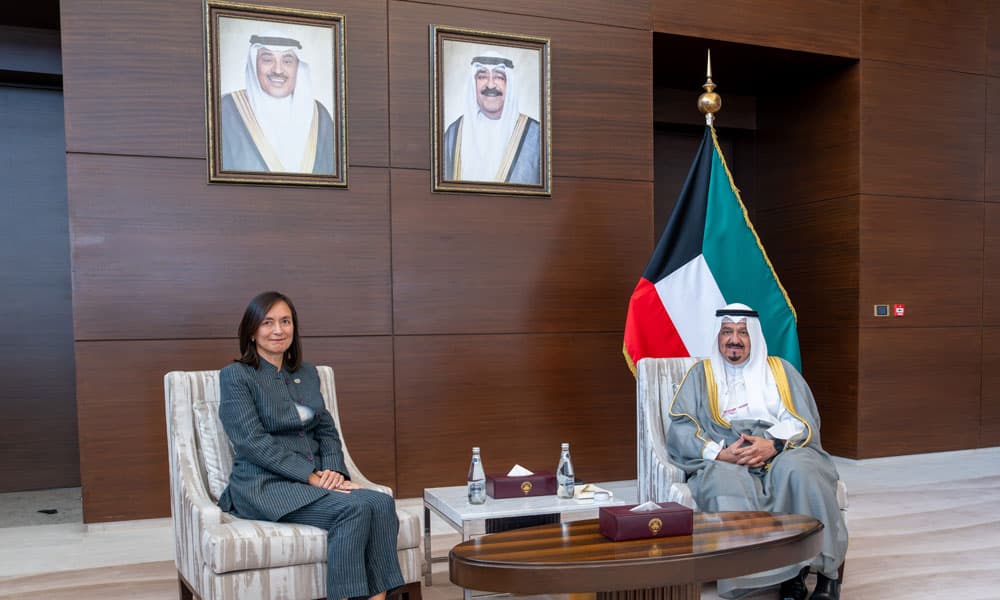 Prime Minister Discusses Resolution 2792 with UN Envoy