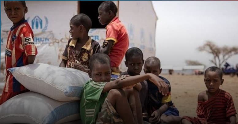 Global alert on hunger in Sudan IDPs