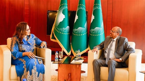 AU Chair on West Africa Security