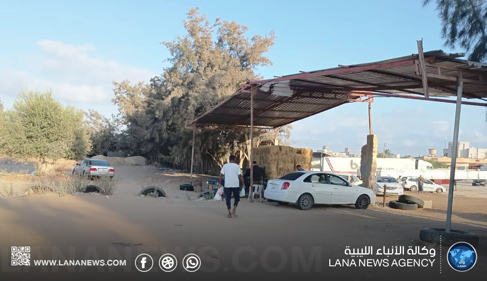Al-Zawia Police Keep Livestock Market Closure