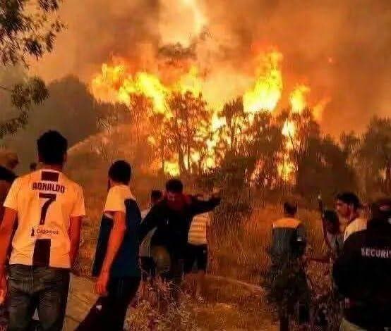 الجزائر تدعو للحداد بعد وفاة 12 في حرائق