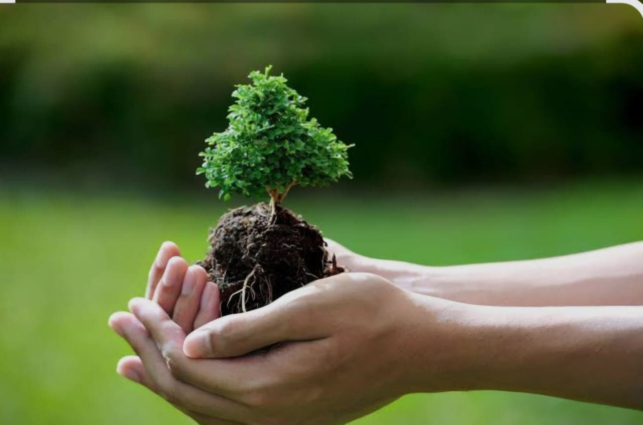 Campaign to protect fruit trees in October