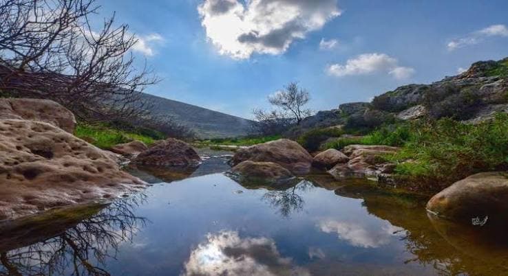 Weather Alert: Rising Temperatures