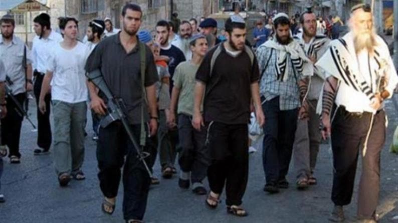 Wall Resistance: 87 Martyrs Shot by Settlers Since 2019