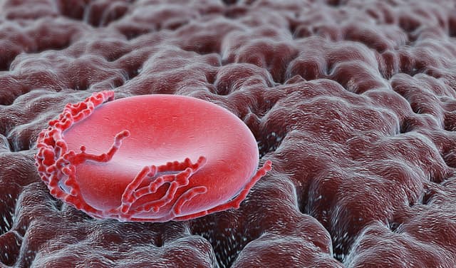 AI-developed drug reverses aging signs