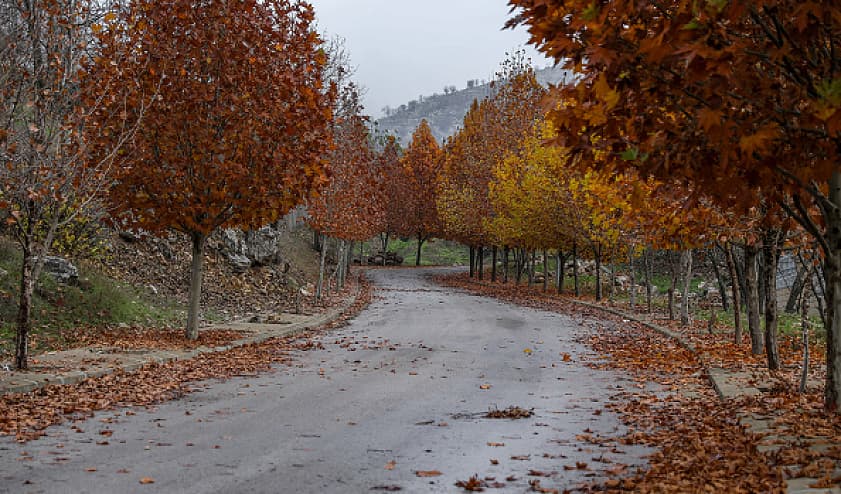 Weather update: Midweek rain and fall-like weather